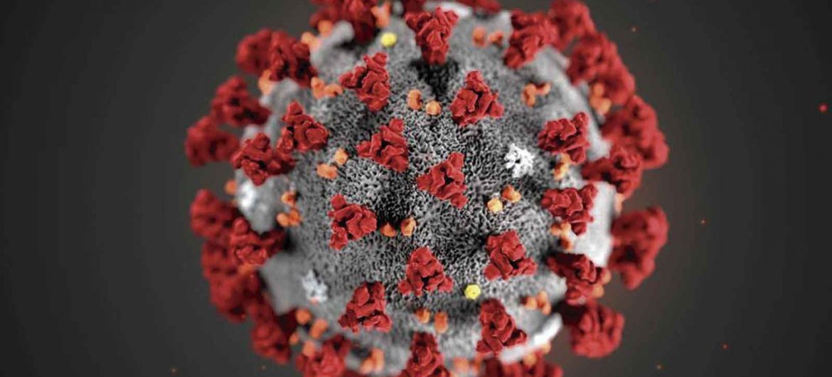 coronavirus_gastroactirud Imagen coronavirus