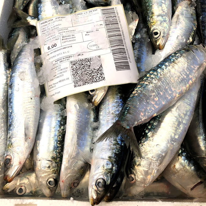 Sardinas en la lonja