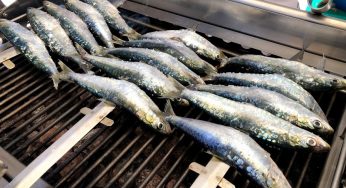 Sardinas las reinas del verano