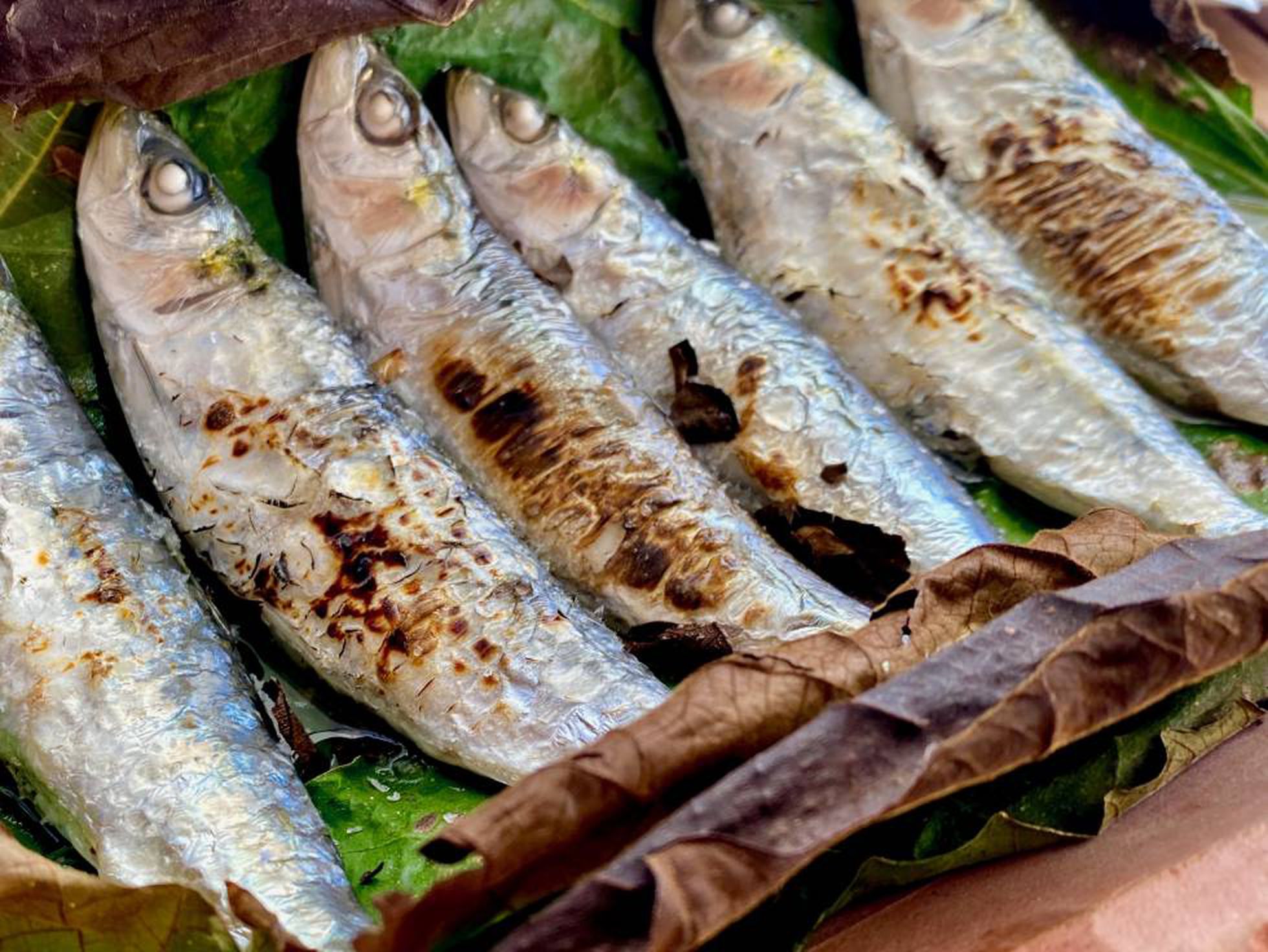 Sardinas a la teja