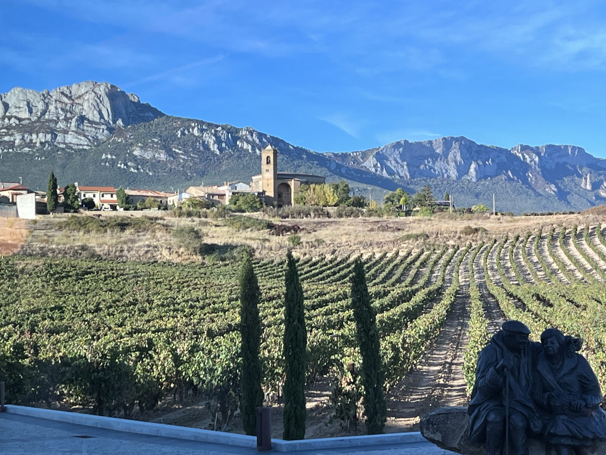 Viñedos en Sierra Cantabria