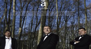 APICIUS 20 analiza los 20 mejores platos de El Celler de Can Roca