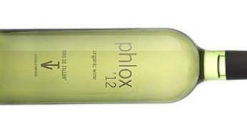 Phlox 2012