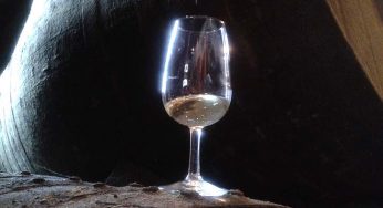 Taberna del Guerrita, paraíso de la manzanilla