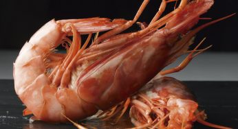 Charol con sabor a mar
