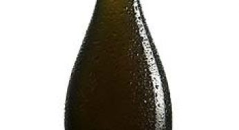 La Socarrada, cerveza mediterránea