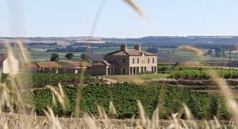 Alonso del Yerro, una década de grandes vinos