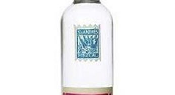 Alipús, santos mezcales
