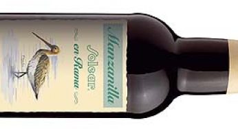 Manzanilla Solear en Rama Saca de Invierno 2013, el eterno encanto del vino efímero