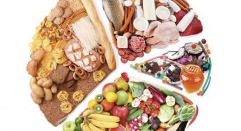 Cursos de gastronomía y nutrición en las escuelas de la UE