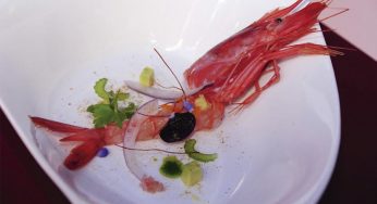Manuel Alonso ganador Cocina creativa de la Gamba Roja de Dénia