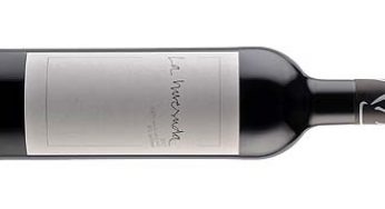 La Huesuda 2013, el vino de Ariel Rot: 100% rock and roll, 0% sulfitos