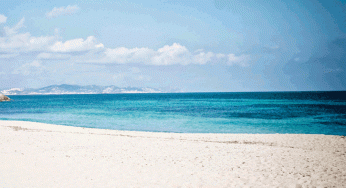 Comer frente al mar: los mejores restaurantes