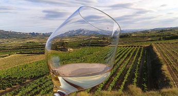 Diez vinos-chollos por menos de 6€ para el verano