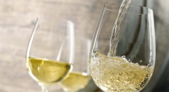 Lavinia se convierte en un pazo gallego donde probar los mejores albariños