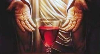 Los Diez Mandamientos del vino