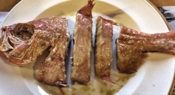 GüeyuMar, el secreto de la parrilla marinera