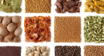 Los superalimentos