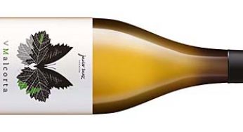 V Malcorta 2014, en busca del verdejo perdido