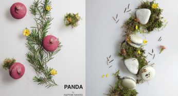 Panda by Hattori Hanzō, primera pastelería japonesa de Madrid