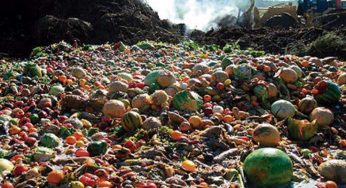 STOP al desperdicio de comida en Europa