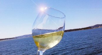 Lagar da Costa 2014, rey de la Fiesta del Albariño