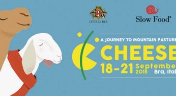 200 maneras de decir queso en España