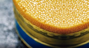 Los 10 ingredientes más caros del mundo