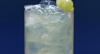 New Year Grapesters by Masters, el Christmas tonic ideal para recibir el año nuevo