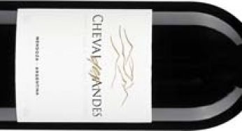 Cheval des Andes 2011, un corcel bordelés en Mendoza