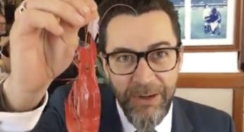 Cómo reconocer una buena gamba roja según Quique Dacosta