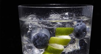 5 ginebras clásicas y 5 extravagantes para celebrar el Día Internacional del Gin Tonic