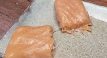 Pon un kamado en tu vida