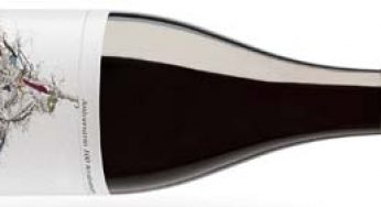Juan Gil 100 Aniversario 2013, monastrell de celebración