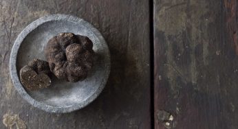 ¿Trufas en el Nuevo Mundo?