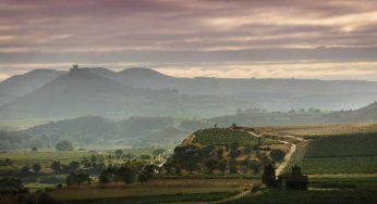 Tiempo de vendimia: La Rioja en 5 pistas