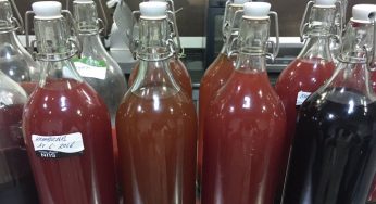 Kombucha, aprende a elaborar la bebida de moda
