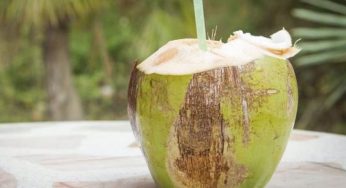 5 razones para probar el agua de coco, una bebida naturalmente saludable