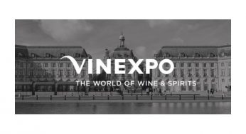 La gran fiesta de los vinos: A Taste of Spain