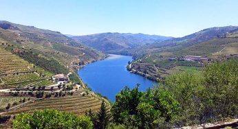 Un periplo por los vinos del Douro