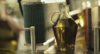 ¿Por qué sube el precio del aceite de oliva?