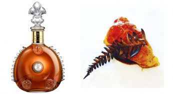 Lujo en Mugaritz: cigarra de mar con dos gotas de Louis XIII