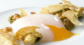 Huevo de caserío escalfado con setas de primavera salteadas