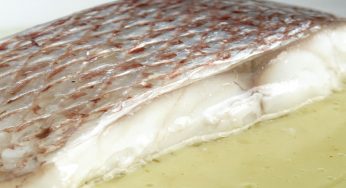 Rubiel con crema de patata