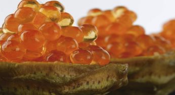 Alcachofas con huevas de trucha