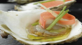 Ostras escabechadas