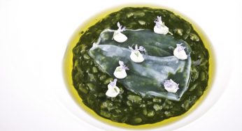 Arroz de plancton