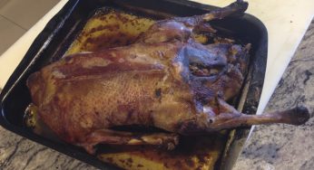 Ganso al horno con Reserva Familiar Castillo de CanenaArbequino