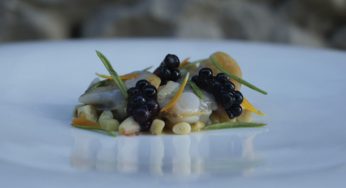 Berberechos ahumado con pino, piñones, hinojo marino, moras, emulsión de piñón y pimienta rota
