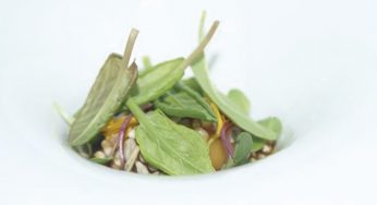 Yema, jugo de gallina, frutos y acedera verde